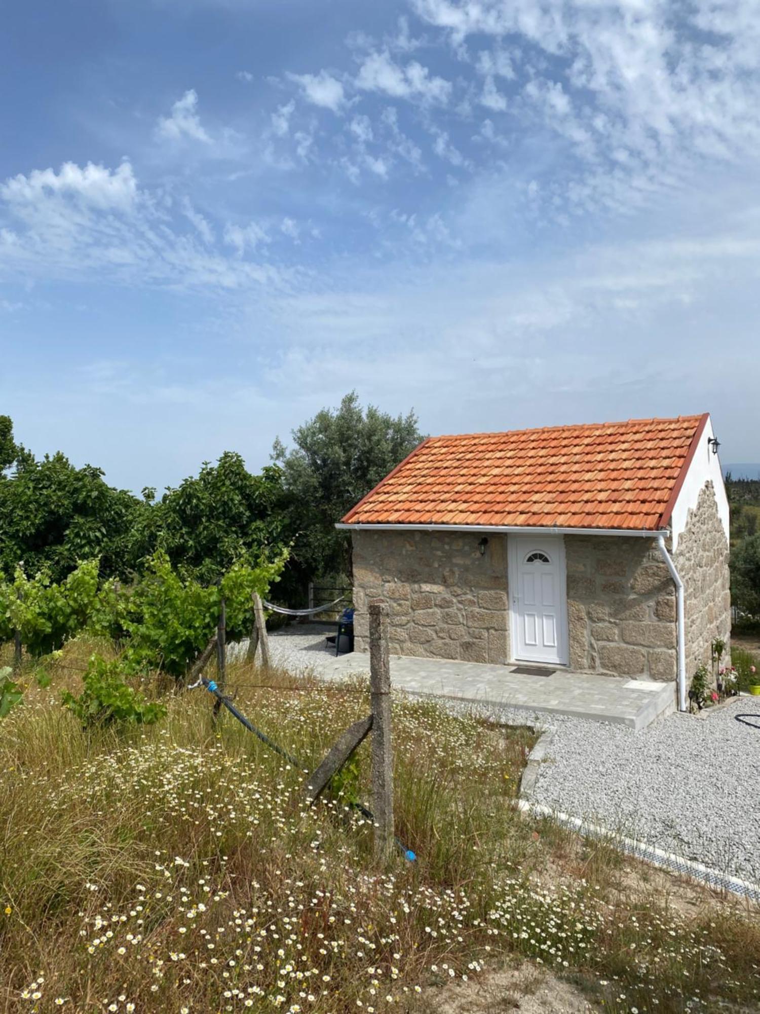Casa De Pedra Em Vinha No Dao Villa Nelas Ngoại thất bức ảnh
